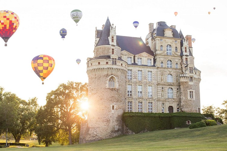 Boucle vignoble Loire Layon Aubance