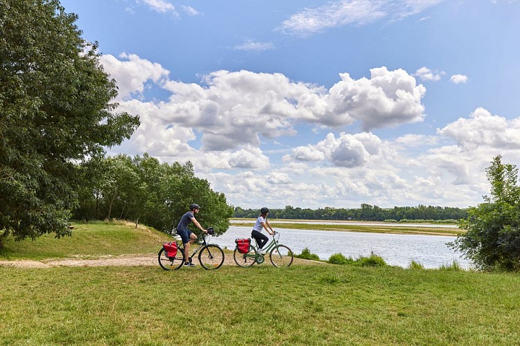 Boucle entre Loire et Aubance