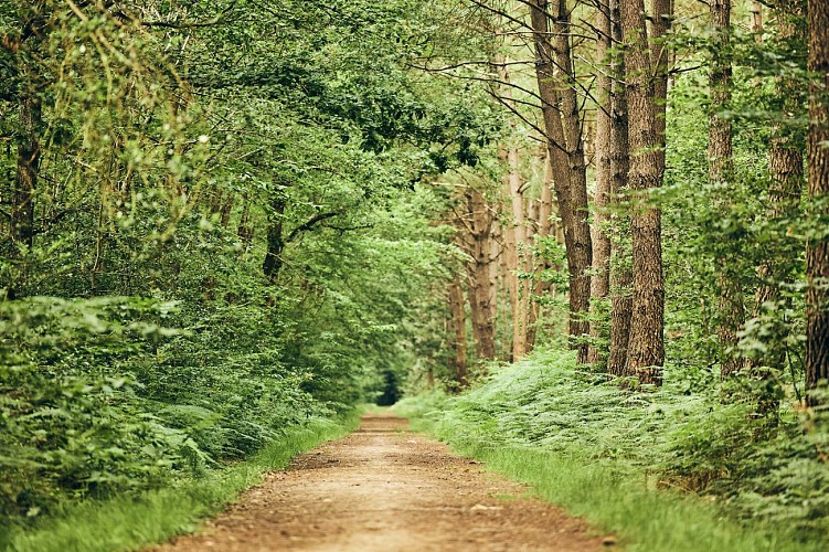 Sentier du lavoir