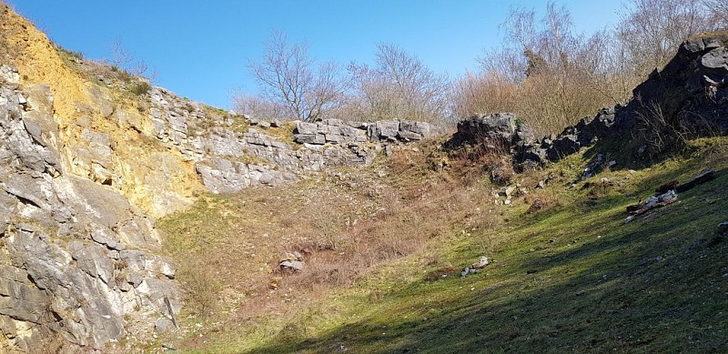 La réserve naturelle "Aux Roches" au départ de la bibliothèque de Flémalle (centre)