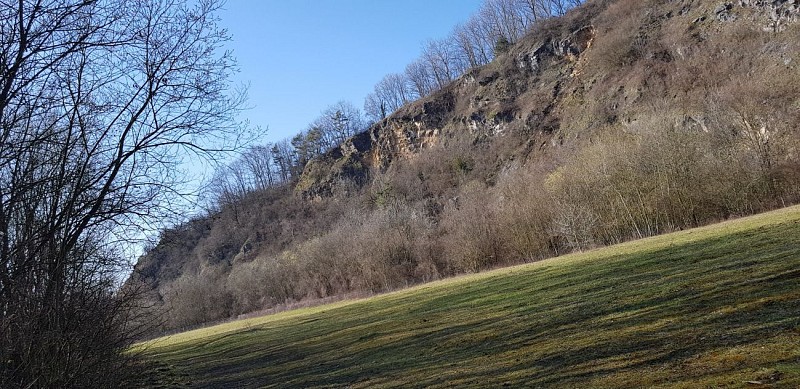 La réserve naturelle "Aux Roches" au départ de la bibliothèque de Flémalle (centre)