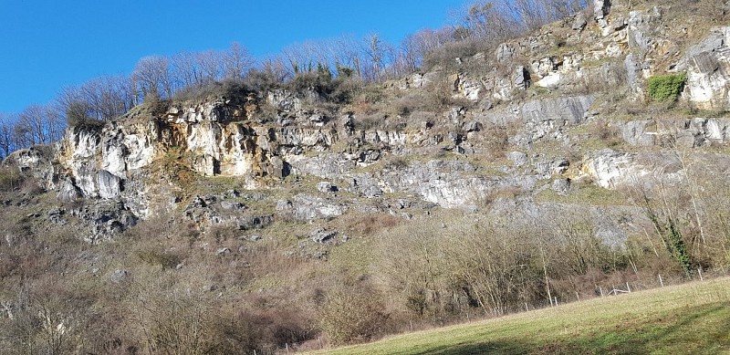 La réserve naturelle "Aux Roches" au départ de la bibliothèque de Flémalle (centre)