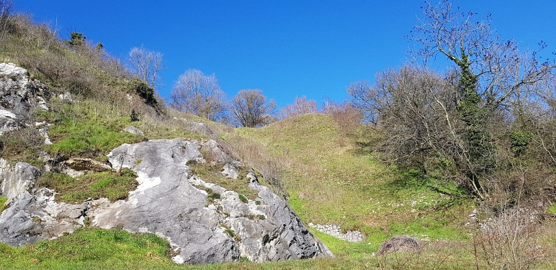 La réserve naturelle "Aux Roches" au départ de la bibliothèque de Flémalle (centre)