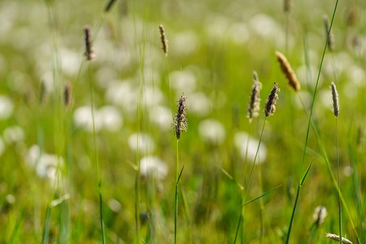 Ciney_Serinchamps_23042020_005