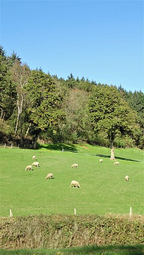 Circuit des Carrières