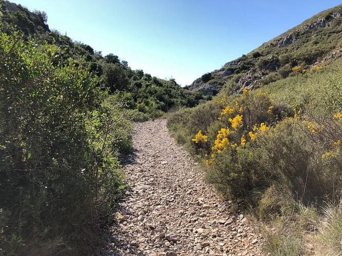 sur les abords d'Aumelas