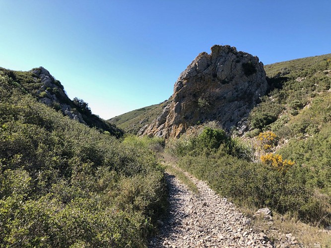 sur les abords d'Aumelas