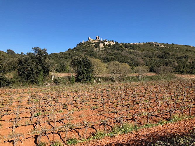 sur les abords d'Aumelas