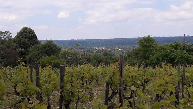 vue sur la vallée