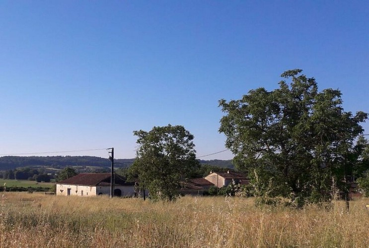 randonnée pas à pas douzillac boucle du château de Mauriac 1 2