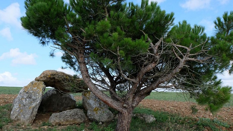 Dolmen à Selommes