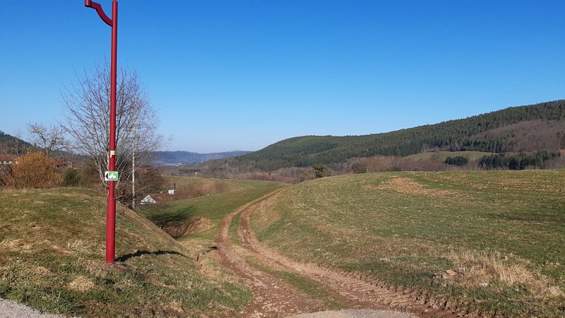 VTC n°21 - La vallée du papier