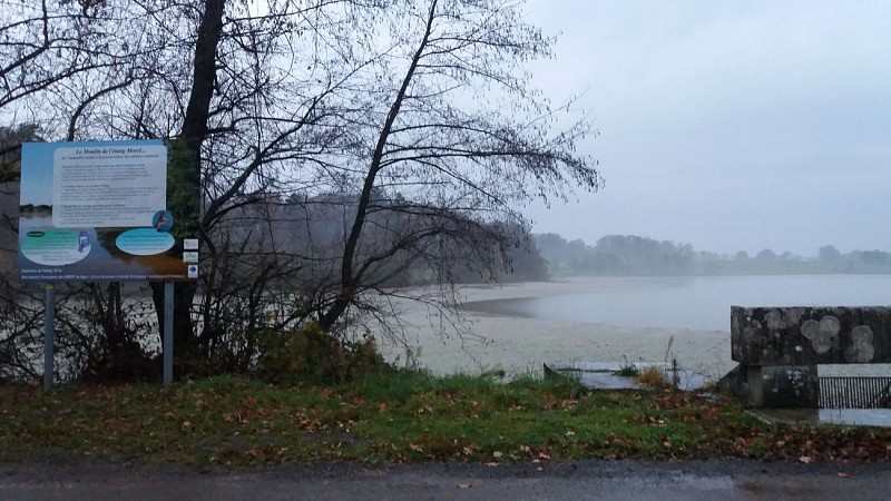 Vescours - Etangs bressans et moulin Morel