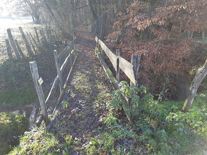 Circuit du Moulin et des Etangs de Bresse