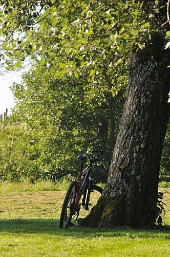 Vélo Dompierre_Crédit C.Thieux