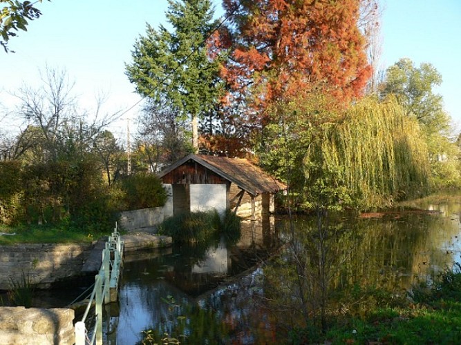 Étang Dompierre_Crédit Bourg-en-Bresse Agglomération (3)