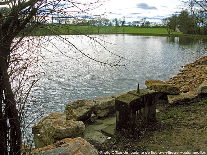 Etang-de-Barvay-7-St-Denis-Office-de-Tourisme-de-Bourg-en-Bresse-lt