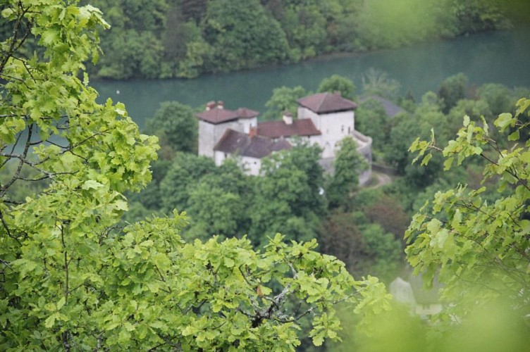 La Chapelle-Ruines de Mt-Didier