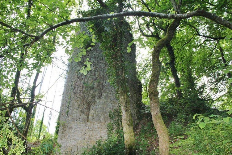 Church of St Maurice d'Echazeaux - Ruins of Mt-Didier