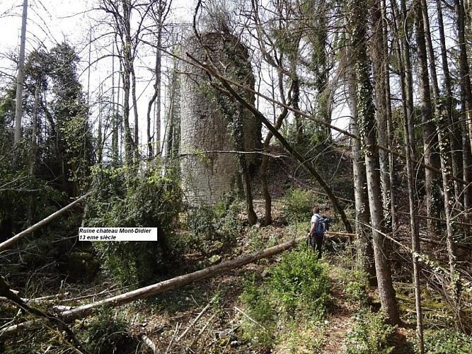 Church of St Maurice d'Echazeaux - Ruins of Mt-Didier