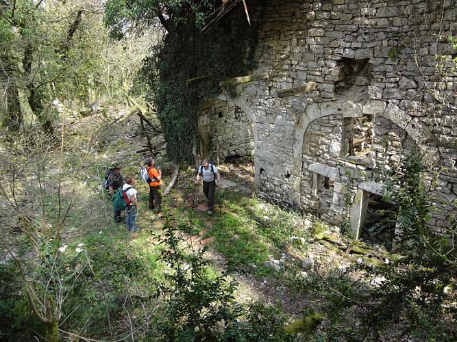 Church of St Maurice d'Echazeaux - Ruins of Mt-Didier