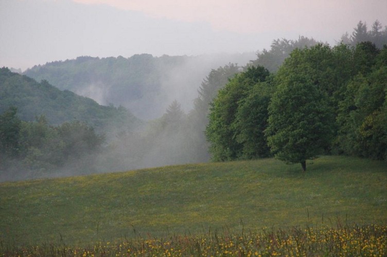 From Suran to the Ain valley