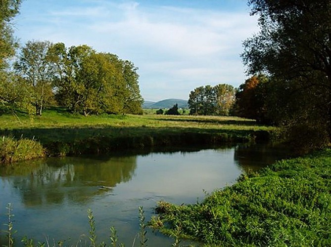 Du Suran à la vallée de l’Ain