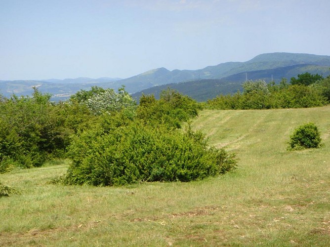 Les Roches de Cuiron - Chapelle des Conches