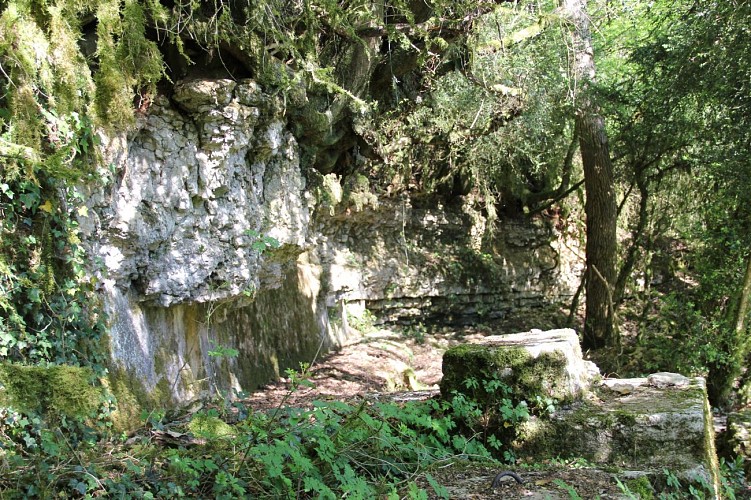 Les Roches de Cuiron - Chapelle des Conches_Ramasse