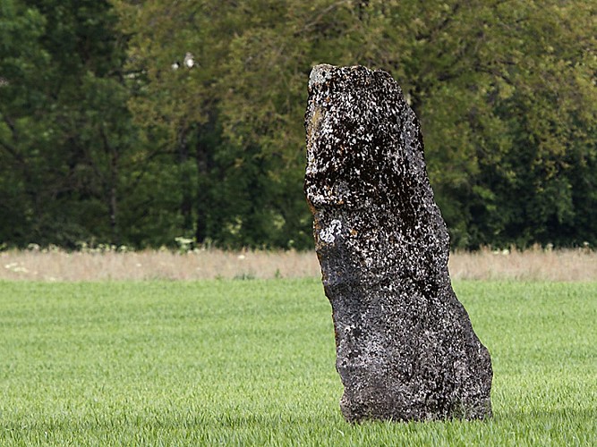 Menhir de Pierre Fiche - Simandre-sur-Suran
