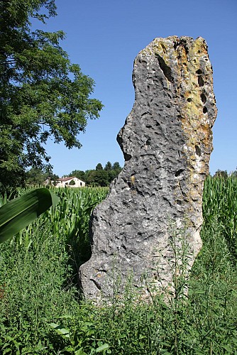 Menhir de Pierre Fiche - Simandre-sur-Suran