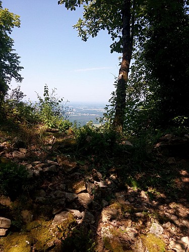 Point de vue de Lomont