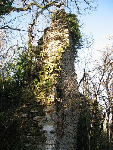 Randonnée - Les crêtes et ruines de la maison forte de Lomont
