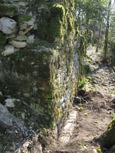 Randonnée - Les crêtes et ruines de la maison forte de Lomont