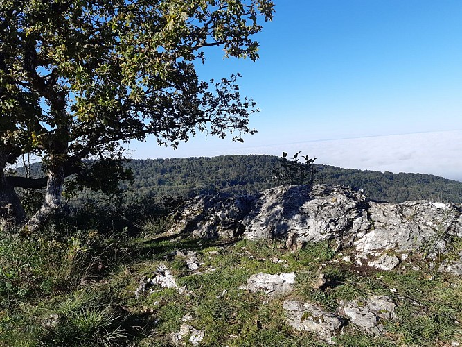 Crête de la Cabatane - On the rocks