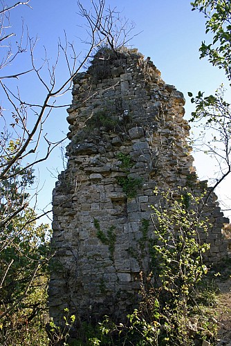 Ruines de Montfort