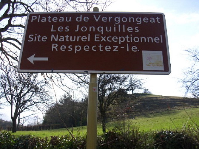 L’or jaune du Dieu de Coligny