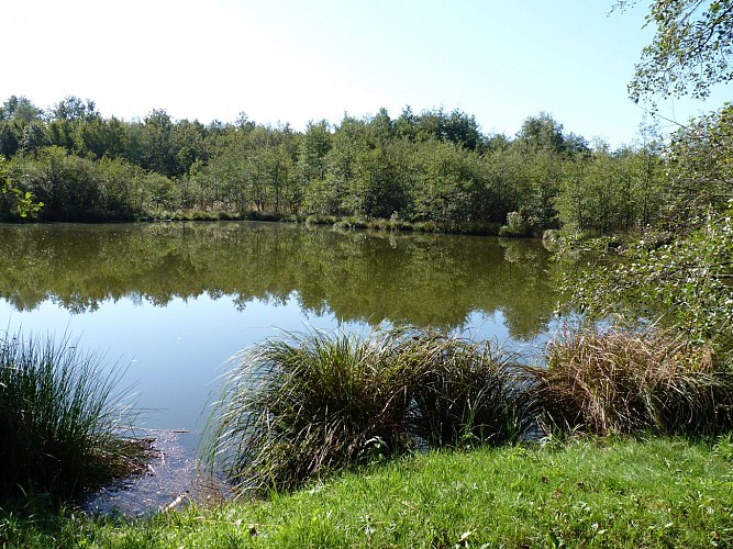 Circuit n°10 - Sur les pas des conteurs d'histoires