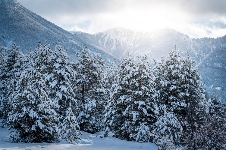 Snowshoeing in La Vachette, Les Alberts and Val des Prés_Val-des-Prés