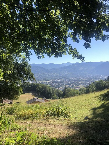 Praz Bassoux pasture