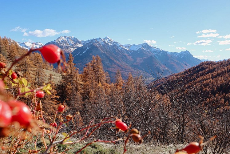 L'anello del borgo di Combes_Puy-Saint-André