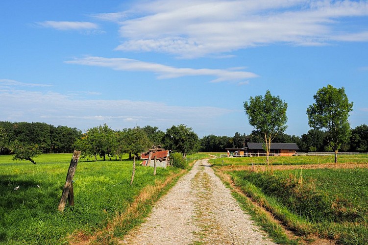 Hiking loop: Boucle de Loëx