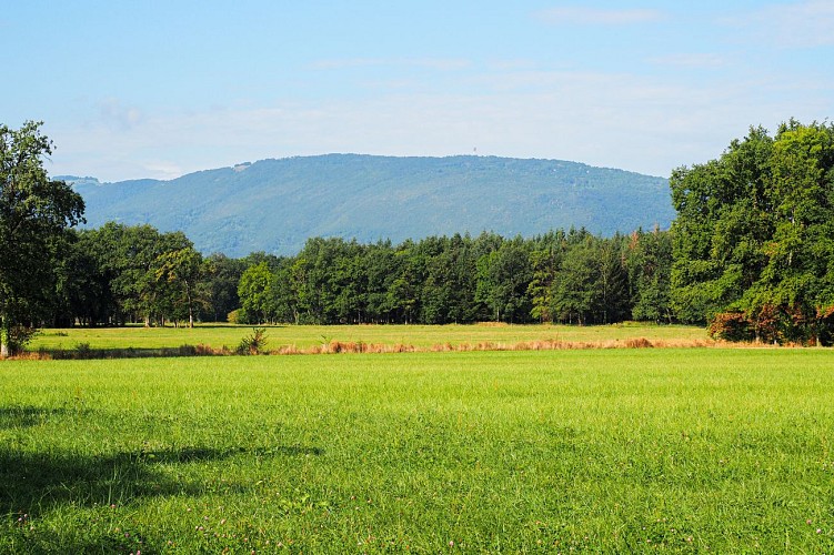 Hiking loop: Boucle de Loëx