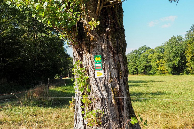 Hiking loop: Boucle de Loëx