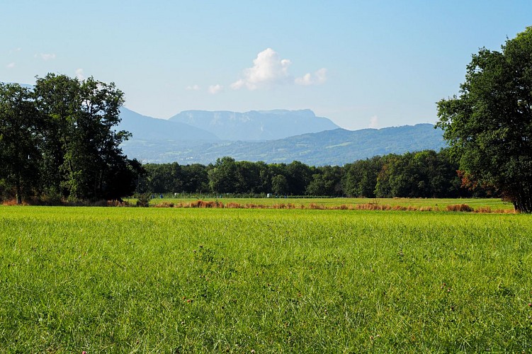 Hiking loop: Boucle de Loëx