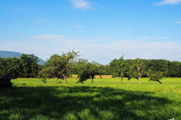 Boucle de Loëx - Panorama