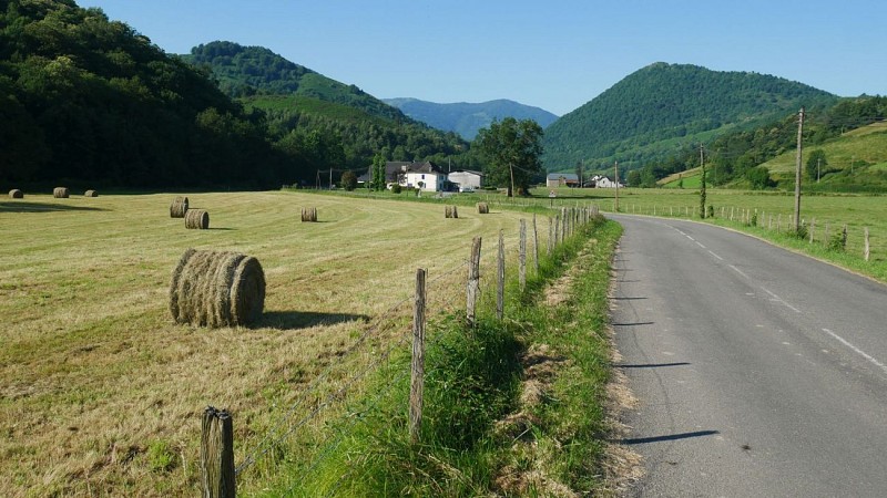 Vallée de Barlanes