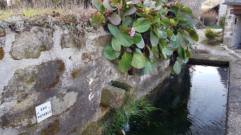 Trail de Treignac : La Pierre des Druides