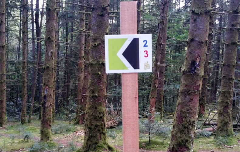 Trail de Treignac : La Pierre des Druides