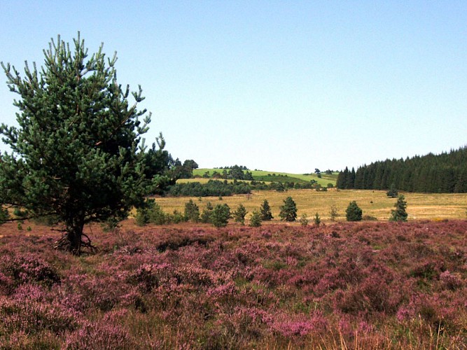 Trail de la Vézère